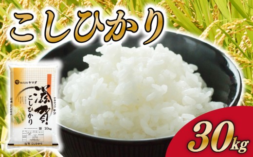 コシヒカリ 30kg 白米 こしひかり
