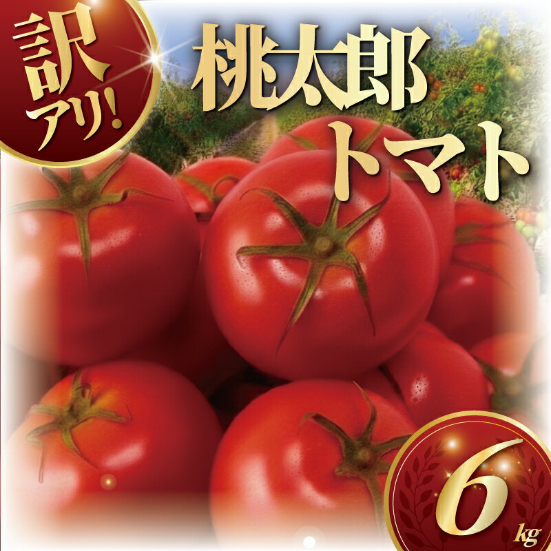 【ふるさと納税】 訳あり ハウス桃太郎トマト6kg トマト 野菜 やさい 果物 とまと 2026年4月発送 tomato 甘い リコピン トマト フルーツ 先行予約 2026年 産地直送 数量限定 農家直送 鮮度 新鮮 土耕栽培 栽培 ビタミンC わけあり 訳アリ 訳あり品 亀井農園 神奈川 湘南 藤沢
