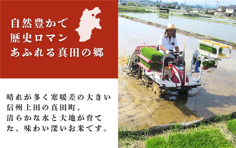 米 令和7年産 定期便 6ヶ月 関口さんちのお米 コシヒカリ 5kg お米 こめ コメ 新米 精米 白米 ご飯 こしひかり 長野 信州 6回 半年 お楽しみ