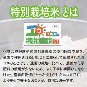 【令和6年産】稲敷市産 特別栽培米 あきたこまち 10kg (5kg×2)【農家直送】[1617]