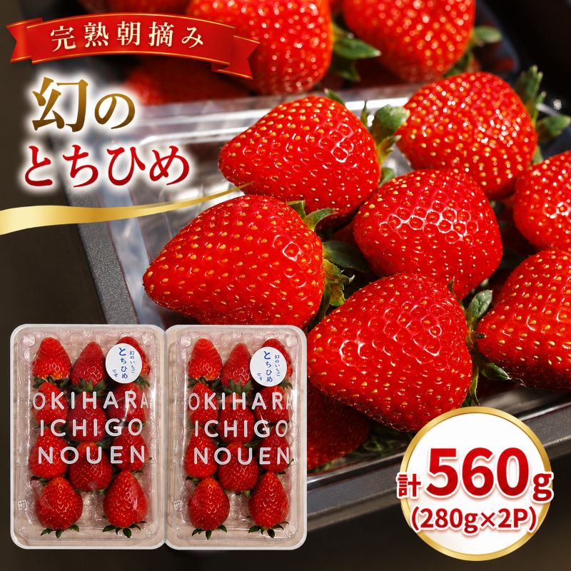 【ふるさと納税】いちご 数量 限定 幻の とちひめ 選べる 定期便 560g｜【2027年先行予約】いちご 苺 フルーツ 果物 産地直送 栃木県 矢板市 澳原いちご農園