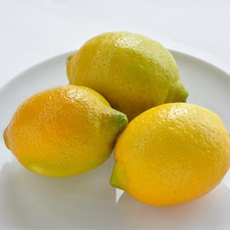 【先行受付】レモン 10kg　L～M　秀品　瀬戸内海　JA選果　外観きれい KC00790【配送不可地域：離島】