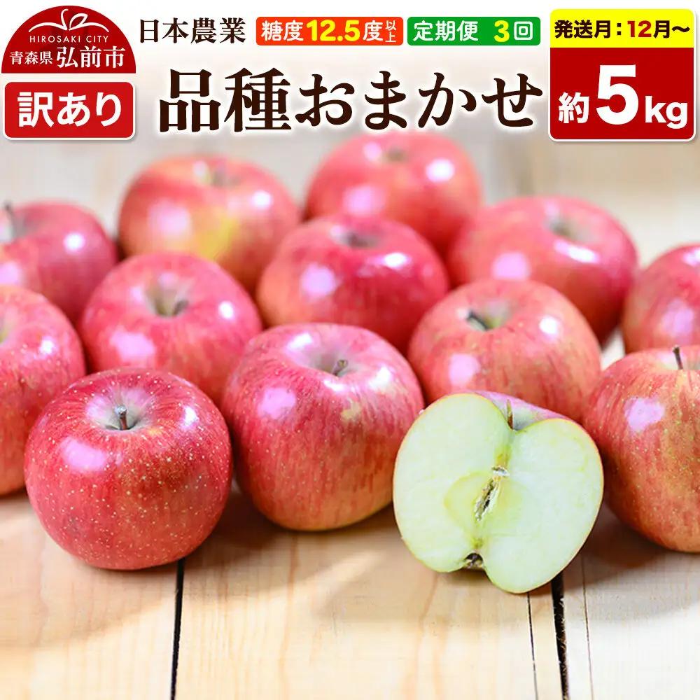 りんご 《定期便3ヶ月》品種おまかせ 訳あり 約5kg【12月～発送】りんご