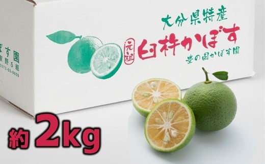 
            【先行予約】香り爽やか　佐々木さんのカボス(2kg)
          