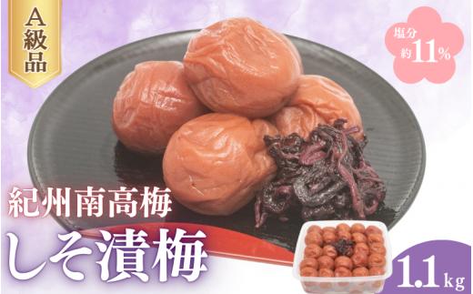 しそ漬梅（塩分約11％）1.1ｋｇ  / 田辺市 紀州南高梅 南高梅 梅干し 梅干 梅 うめ 肉厚 お歳暮 プレゼント お歳暮プレゼント お祝い お米 おにぎり 焼酎 梅酒 健康 しそ 紫蘇 しそ漬け【fuz007-1】