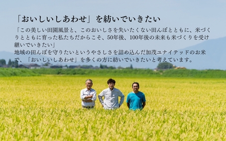 【定期便3ヶ月毎月お届け】新潟県産 新之助 玄米5kg 《5kg×1袋》 新潟 ブランド米 加茂市 加茂ユナイテッド