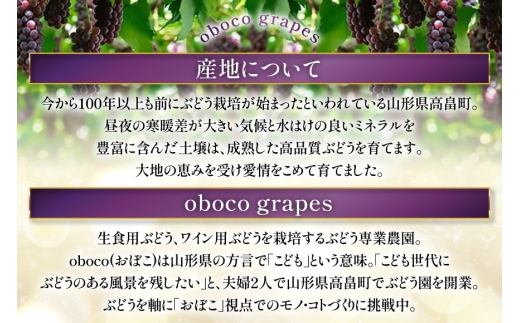 ワイン 白 why'n デラウェア 2025 750mL 1本 [oboco grapes 山形県 高畠町 tk06ayt250010] デラウェア 辛口 わいん 日本ワイン 国産 ぶどう 果実酒 W