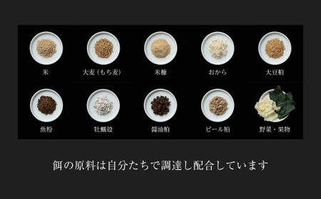 平飼い有精卵40個｜大容量・家族向け・放し飼い卵（西粟倉村）配送不可地域：沖縄・離島】t-SS-AoDA