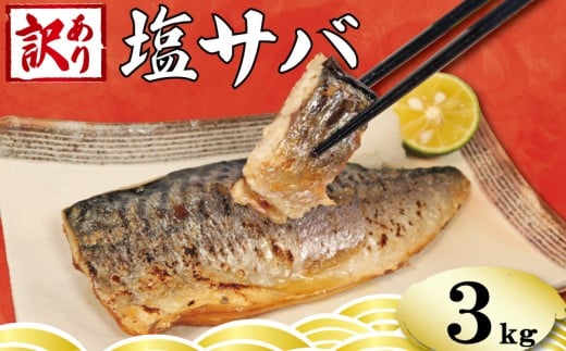 訳あり 塩さば フィーレ 約3kg 鯖 さば 塩鯖 トロ フィレ 切り身 切身 青魚 魚介類 魚 魚貝 魚介 魚貝類 水産 海の幸 海鮮 人気 冷凍 大容量 たっぷり 冷凍 おつまみ さけ おかず 惣菜 弁当 不揃い 規格外 訳有 傷 グルメ お取り寄せ 贈答 贈物 プレゼント 贈り物 バラ凍結 長期保存 ストック ギフト 小分け ふるさと納税 ふるさと納税鯖 送料無料 千葉県 銚子市 銚子東洋
