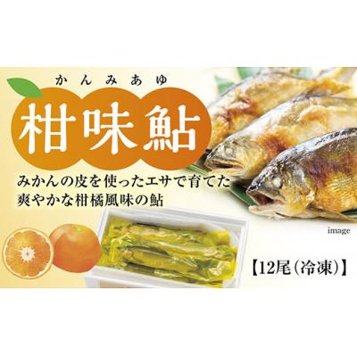 ふるさと納税 山口市 冷凍柑味鮎 096