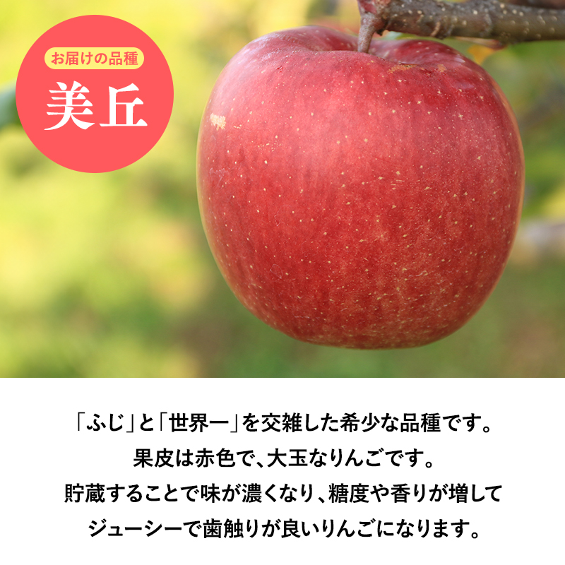 ３月発送　贈答用美丘10ｋｇ　【そと川りんご園・３月・青森県産・平川市・りんご・美丘・10ｋｇ・贈答用】