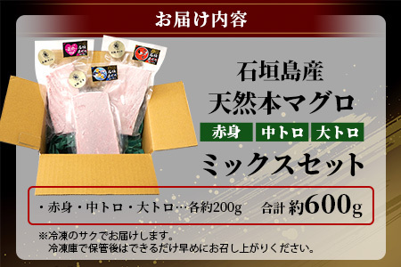 【先行予約】YE-1 石垣島産 天然本マグロ600g（まぐろ赤身・中トロ・大トロのミックスセット ）ヤエスイ マグロ船直送【2024年5月下旬より順次発送】