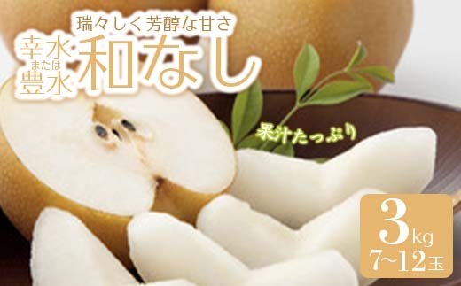 《先行予約 2026年度発送》和なし（幸水または豊水）3kg 7~12玉  なし ナシ 梨 デザート フルーツ 果物 くだもの 果実 食品 山形県 FSY-0513