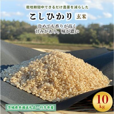 ふるさと納税 潮来市 令和8年産新米　栽培期間中できるだけ農薬を減らした【こしひかり】玄米10kg茨城共通返礼品・行方産