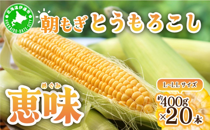 北海道産 朝もぎ とうもろこし 恵味 L-LLサイズ 約400g×20本 スイートコーン ゴールドコーン トウモロコシ とうきび コーン 旬 完熟 野菜 甘い おやつ 産地直送 お取り寄せ 北海道 送料無料 伊達