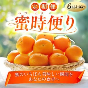 【発送月固定定期便】「蜜時(みつどき)便り」みかんやまどんな、甘平、せとかなど【H64-93】全6回【4069713】