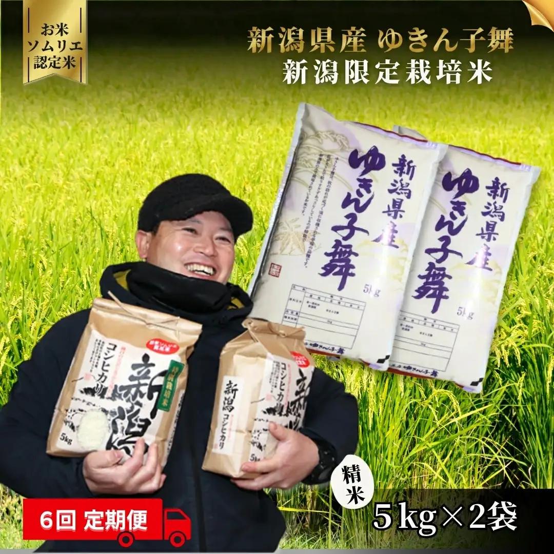 【定期便6回】令和8年産 新米 ゆきん子舞 10kg(5kg×2袋)×6回 計60kg 先行予約 | 新潟県産 米 白米 五泉市