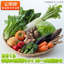 【ふるさと納税】定期便 野菜セット 年4回 春夏秋冬 おまかせ 10～15種 旬 朝倉市産 配送不可 離島　【定期便・野菜・セット・詰合せ】
