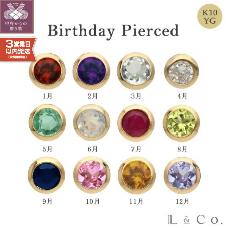 【ふるさと納税】ピアス 誕生石 レディース アクセサリー K10 ガーネット アメジスト アクアマリン ダイヤモンド エメラルド ムーンストーン ルビー ペリドット サファイア ピンクトルマリン シトリン タンザナイト ギフト ジュエリーケース 保証書付 k228-038