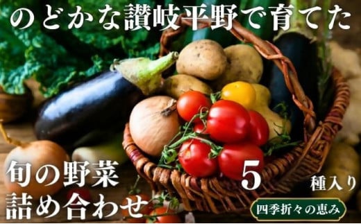 旬の野菜詰め合わせセット