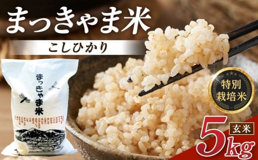 米 令和7年度産【特別栽培米】 石川県産こしひかり 棚田米【玄米】 5kg まっきゃま | 金沢市 お米 こめ 白米 食品 米 コシヒカリ ふるさと納税 米通販 高級米 国産米 ブランド米 日本米 新米 玄米 産地直送 米ギフト 米料理 用途別米 米食文化 米農家 特別栽培米 米品種 米品質 米栽培技術 食感良好米