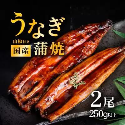うなぎ 国産 蒲焼き 2尾 250g以上 上うなぎ 8月発送