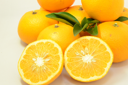 【太陽をたっぷり浴びた】甘夏【極】6kg【C49-85】【1621797】 YWTZ070