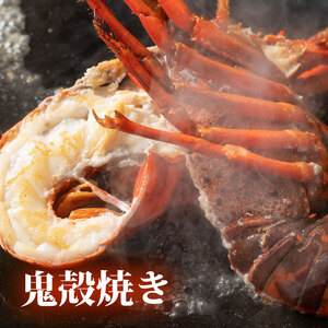 冷凍 伊勢海老 約700g 1尾 活〆 特大 伊勢えび 伊勢エビ イセエビ 海老 えび エビ ebi いせえび 魚介 海鮮 海産物 海 特産品 うま味 旨味 海の幸 アウトドア BBQ 刺身 炭火焼 