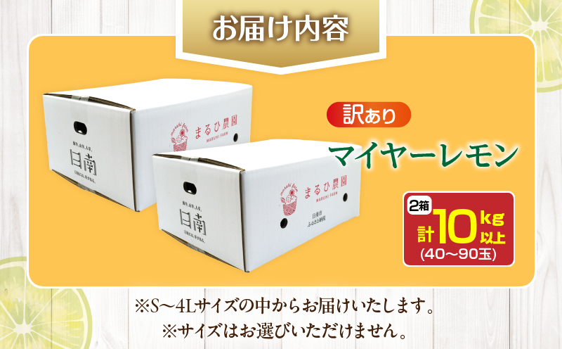 訳あり 先行予約 数量限定 マイヤーレモン 計10kg以上 フルーツ 果物 柑橘 レモン 檸檬 オレンジ 人気 おすすめ おすそ分け お土産 プレゼント お取り寄せ グルメ 国産 食品 デザート スイ