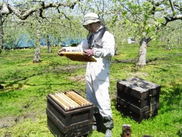 【農林水産大臣賞受賞】蜂蜜おじさんの四季3本セット