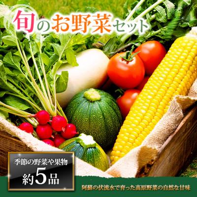 ふるさと納税 阿蘇市 季節のお野菜セットM 旬のお野菜の中から約5品を厳選してお届け