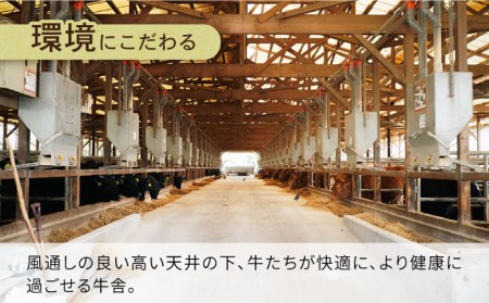 長崎県産 和牛 切り落とし1kg / 牛肉 しゃぶしゃぶ すき焼き / 南島原市 / 高田牧場[SDB004]