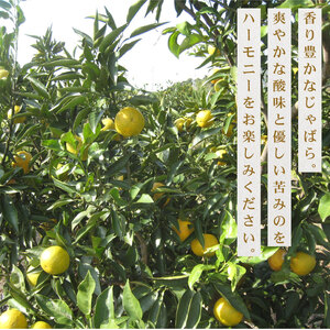 【みかん】いたくら 農園直送 じゃばら 1kg みかん