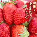 【ふるさと納税】 よかもんいちごの朝採りあまおういちご 2025年1月下旬から2025年4月下旬 出荷予定