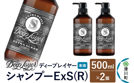 DeepLayer ディープレイヤー シャンプー ExS (R) 500mL×2個 [まとまり パサつき なめらか 手触り スルスル髪 ふんわり 細毛 軟毛 ダメージ毛 ブリーチ毛]