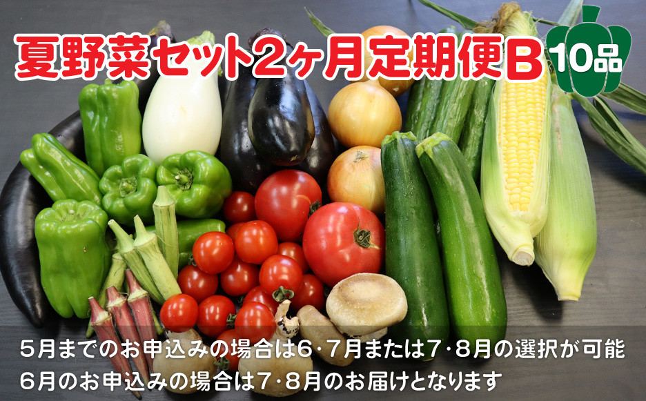 
            【予約受付/2025年産】夏野菜セットB 10品 以上【 2ヶ月 定期便 】季節 旬 夏 野菜 詰め合せ 国産 おまかせ 産地直送 岩手県産 北上産 季節限定 稀少 数量限定 とうもろこし ヤングコーン ブロッコリー レタス ズッキーニ ケール ブルーベリー きゅうり ミニ トマト ピーマン 玉ねぎ 大根 インゲン オクラ つるむらさき 枝豆 モロヘイヤ なす 送料無料 岩手県 北上市 E0219
          