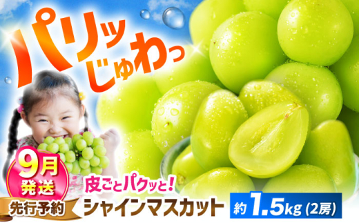 シャインマスカット 【2026年9月発送】約1.5kg（2房） マスカット ＜濱崎農園＞ [CGN005] 長崎 西海 マスカット 果物 フルーツ シャインマスカット ますかっと しゃいんますかっと シャインマスカット 大粒 種なし 皮ごと