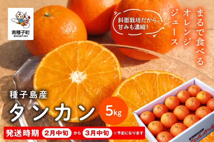 
                  《 先行予約 》種子島産タンカン約5kg（24玉～30玉）【2027年2月中旬〜3月中旬頃順次発送】
                
