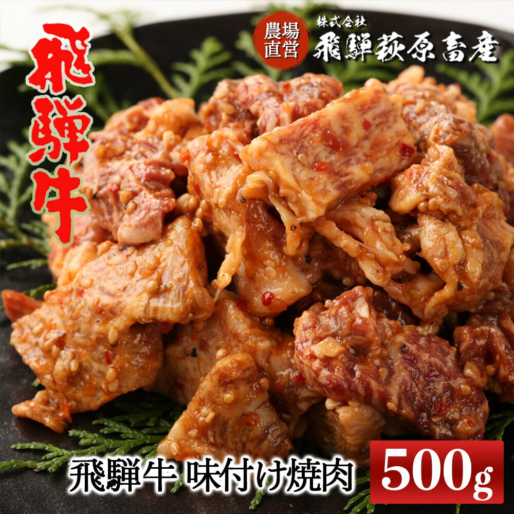 【ふるさと納税】飛騨牛 味付け焼肉　500g　【冷凍】ブランド牛 贈り物 贈答 ギフト 和牛 下呂温泉 焼肉 味付け おかず 飛騨 16000円 岐阜県 下呂市