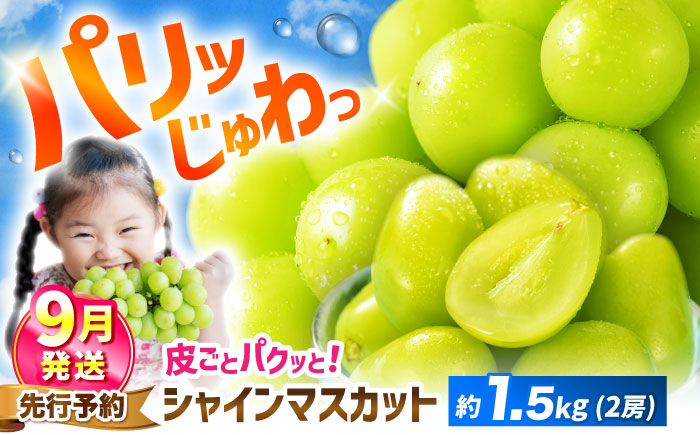 【2025年9月発送】 シャインマスカット 約1.5kg（2房）＜濱崎農園＞ [CGN005]