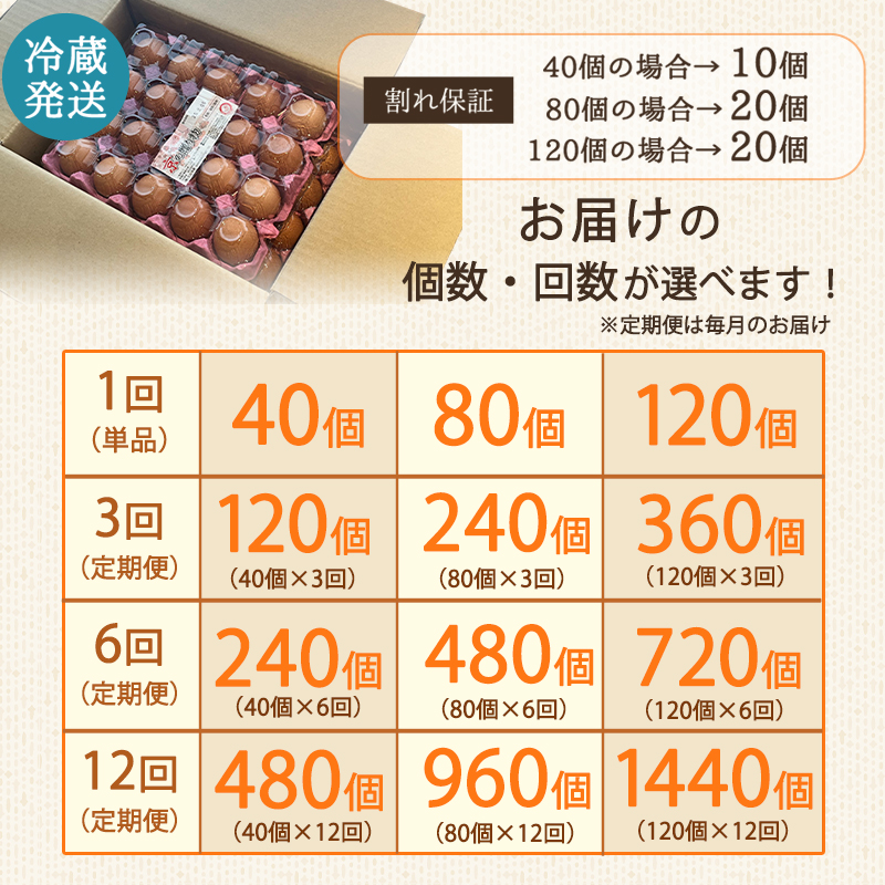 【定期便】毎月/１２回 卵 合計960個 無選別 MS〜LL 京の贈り物 20個×4パック×12回 120,000円