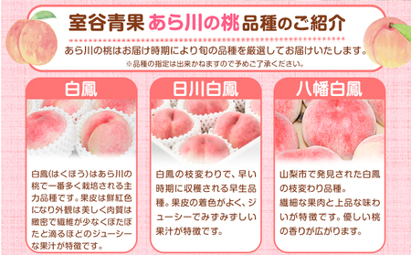 【予約受付】あら川の桃 約1.1kg 室谷青果 《2025年6月下旬-8月中旬頃出荷》 和歌山県 紀の川市