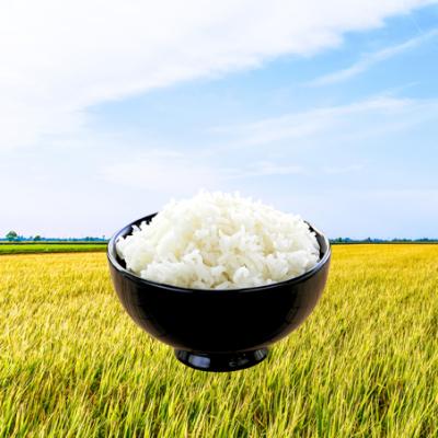 ふるさと納税 小牧市 【小牧市農業祭 特別賞】【R8新米】「あいちのかおり」(20kg)<農家直送> [208K08]