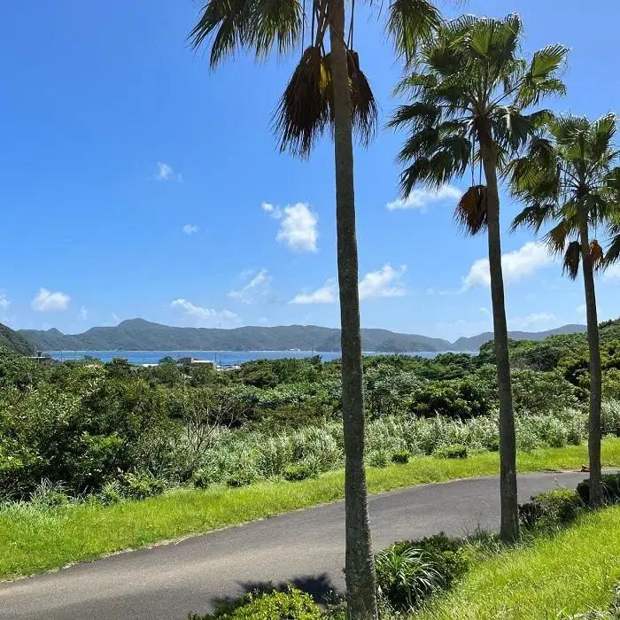 【奄美大島 瀬戸内町】JTBふるさと旅行券（90,000円分）有効期間5年 | 予約 宿泊 観光 体験 温泉 ホテル 旅館 チケット 子供 子連れ カップル 家族 店頭 電話 瀬戸内