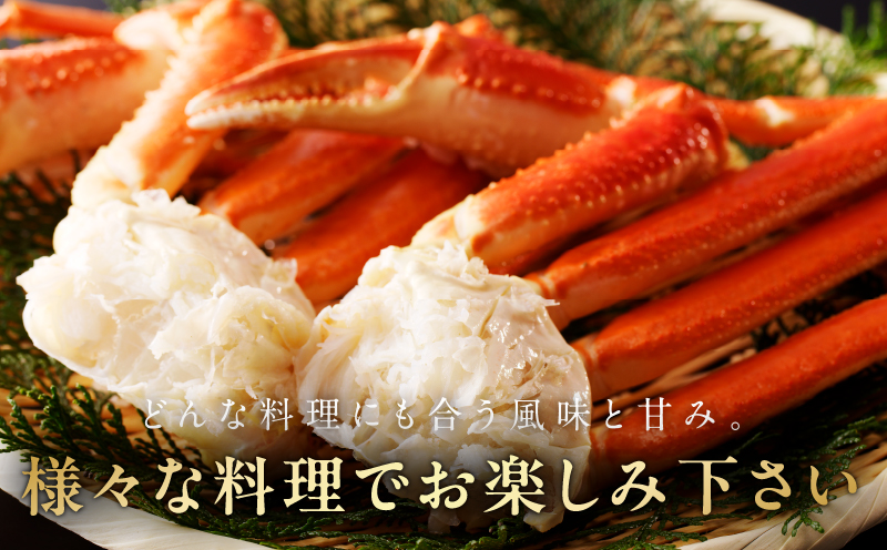 【数量限定】ボイルズワイ蟹 3kg 大型 5Lサイズ カット済み