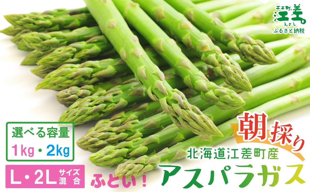 
                  ＼夏アスパラ申込受付7月20日まで／北海道江差町産 アスパラガス【L～2Lサイズ】 〈容量が選べる〉 1kg 約20本～　太い！ 甘い！ ジューシー！　朝採り　農家直送　新鮮　鮮度保持　北海道　旬野菜　グリーンアスパラ　アスパラ　ギフト　贈答
                