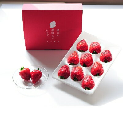 【ふるさと納税】超厳選　大粒『とちあいか』　(450g×2パック)_ いちご イチゴ 苺 フルーツ 果物 とちあいか 栃木県 大粒 甘い 美味しい 人気 ギフト 贈答 送料無料 【配送不可地域：離島】【1239315】