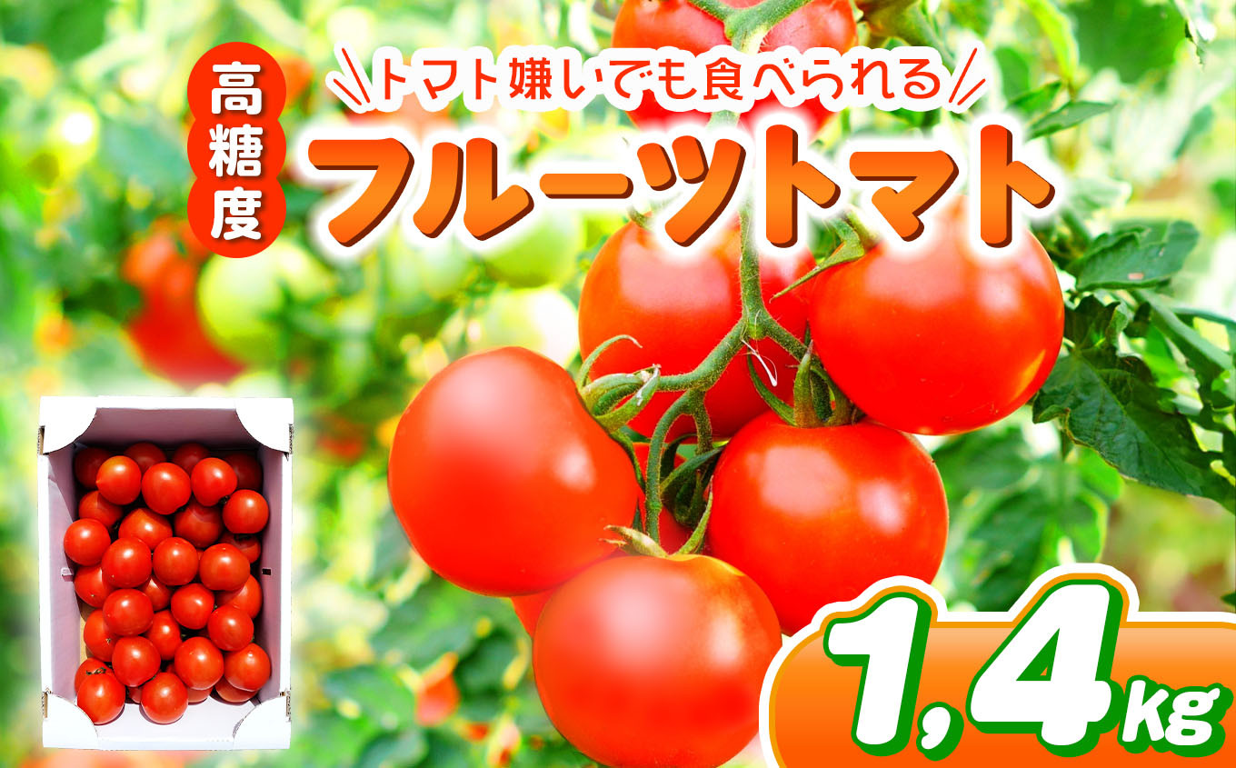 
            フルーツトマト 約1.4㎏ | 野菜 トマト フルーツトマト 中玉トマト 大容量 とまと 鈴木農園　鈴木メロン園 千葉 君津 きみつ
          
