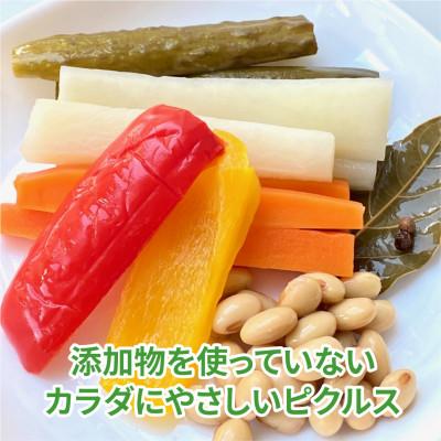 ふるさと納税 岡崎市 三河野菜の葵ピクルス「あいちの家康酢漬」250gびん3本 |  | 01