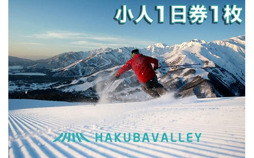 HAKUBA VALLEY 10 スキー場共通リフト券＜小人1日券1枚＞/長野県白馬村　北アルプス　白馬バレー　全10スキー場　ゲレンデ　スキー・スノーボード　先行予約　旅行　スノーリゾート　小学生　こども　子ども【L0160255】